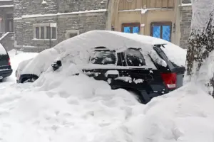 Секреты разморозки и преимущества аренды